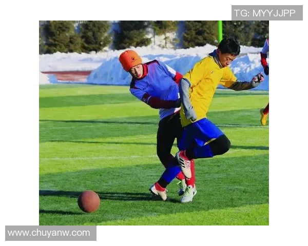 赵强的羽毛球人生深度对话探索运动背后的坚持与梦想