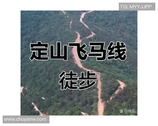 飞马与梦想的胜率较量探讨如何在追梦路上提升成功概率